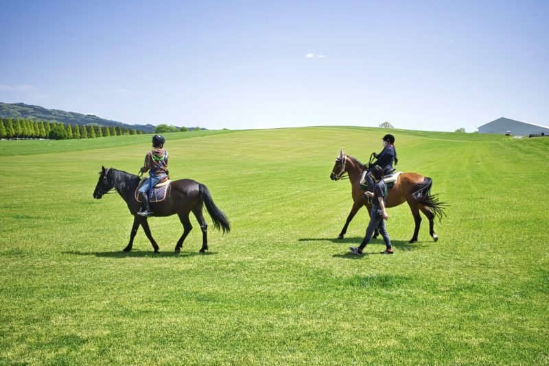 乗馬体験の様子